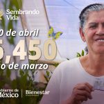 Realiza Sembrando Vida dispersión de pago correspondiente a marzo; las y los sembradores recibirán 6 mil 450 pesos